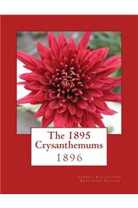 The 1895 Crysanthemums