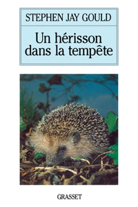 Un Herisson Dans La Tempete