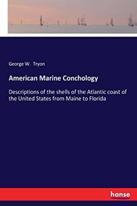 American Marine Conchology