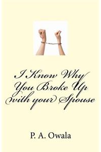 I Know Why You Broke Up with your Spouse