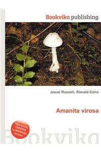 Amanita Virosa