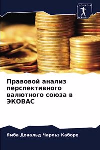 Правовой анализ перспективного валютног&