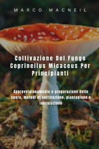 Coltivazione Del Fungo Coprinellus Micaceus Per Principianti