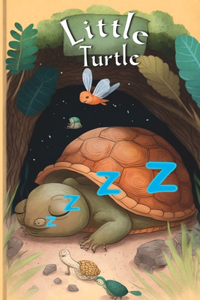 Little turtle