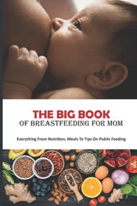 The Big Book Of Breastfeeding For Mom