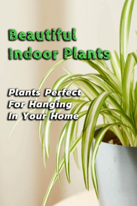 Beautiful Indoor Plants