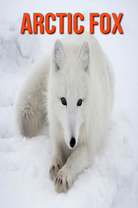 Arctic Fox: Amazing Pictures & Fun Facts on Animals in Nature