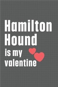 Hamilton Hound is my valentine