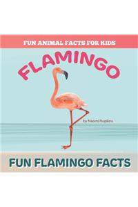 Fun FLAMINGO Facts