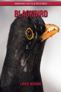 Blackbird