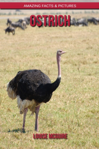 Ostrich