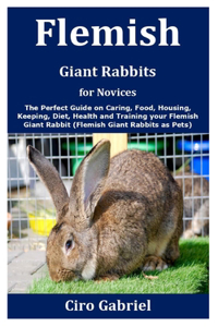 Flemish Giant Rabbits for Novices