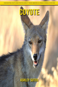 Coyote