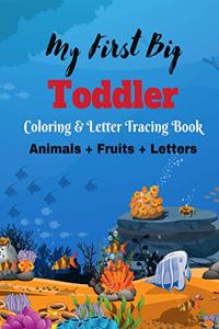 Animal & Fruit Coloring & Letter Tracing Book