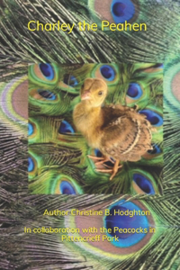 Charley the Peahen