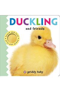 Duckling and Friends