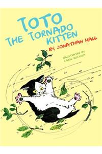 Toto the Tornado Kitten