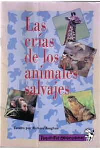 Pequenitas Celebraciones, Las Crias de Los Animales Salvajes/ Wild Baby Animals, Single Copy, Fluency, Stage 3