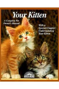 Your Kitten