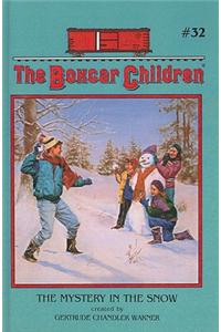 Mystery in the Snow