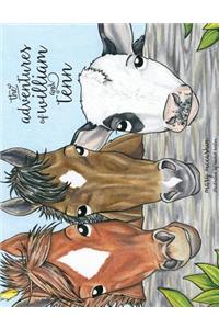 The Adventures of Will & Tenn