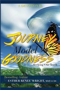 Journey Model Goodness