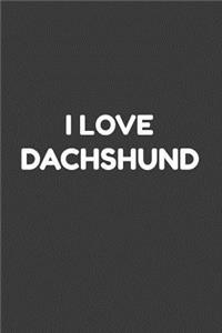 I love Dachshund