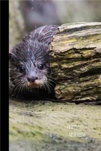 Hiding Otter Notebook
