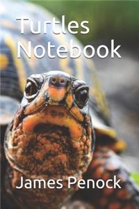 Turtles Notebook