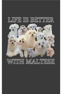 Life Is Better With Maltese