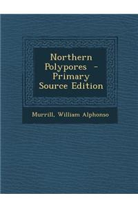 Northern Polypores