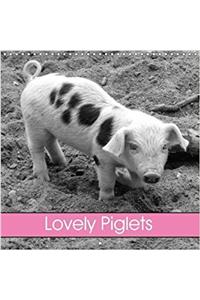 Lovely Piglets 2018