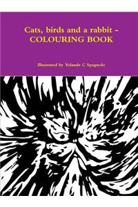 Cats, Birds and a Rabbit - Colouring Book