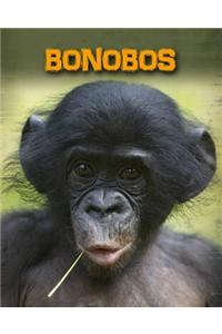 Bonobos