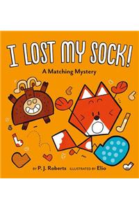 I Lost My Sock!: A Matching Mystery: A Matching Mystery