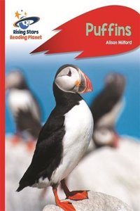 Reading Planet - Puffins - Red a