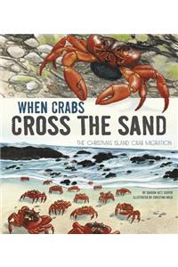 Extraordinary Migrations When Crabs Cross the Sand the Christmas Island Crab Migration
