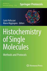 Histochemistry of Single Molecules