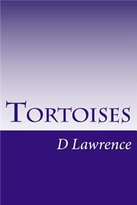 Tortoises