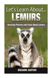 Lemurs: Amazing Pictures and Facts about Lemurs