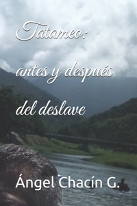 Tatameo