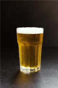 The Bring Your Own Beer Journal (Byob): 150 Page Lined Notebook/Diary