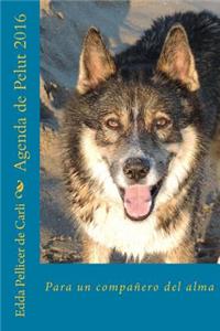 Agenda de Pelut 2016