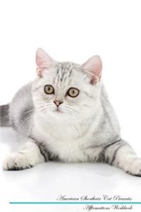 American Shorthair Cat Affirmations Workbook American Shorthair Cat Presents