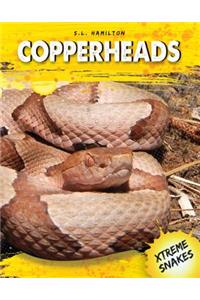 Copperheads