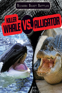 Killer Whale vs. Alligator