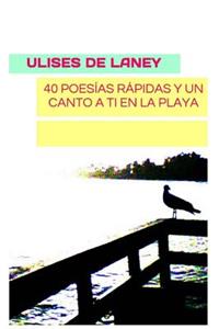 40 poesías rápidas y un canto a ti en la playa