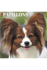 Just Papillons 2019 Wall Calendar (Dog Breed Calendar)