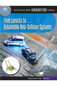 From Locusts To... Automobile Anti-Collision Systems