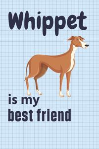 Whippet is my best friend